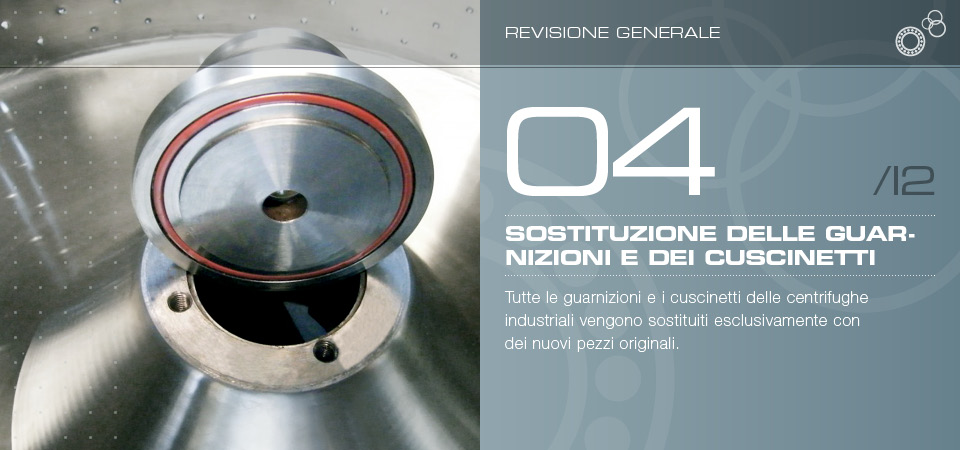 Sostituzione delle guarnizioni e dei cuscinetti