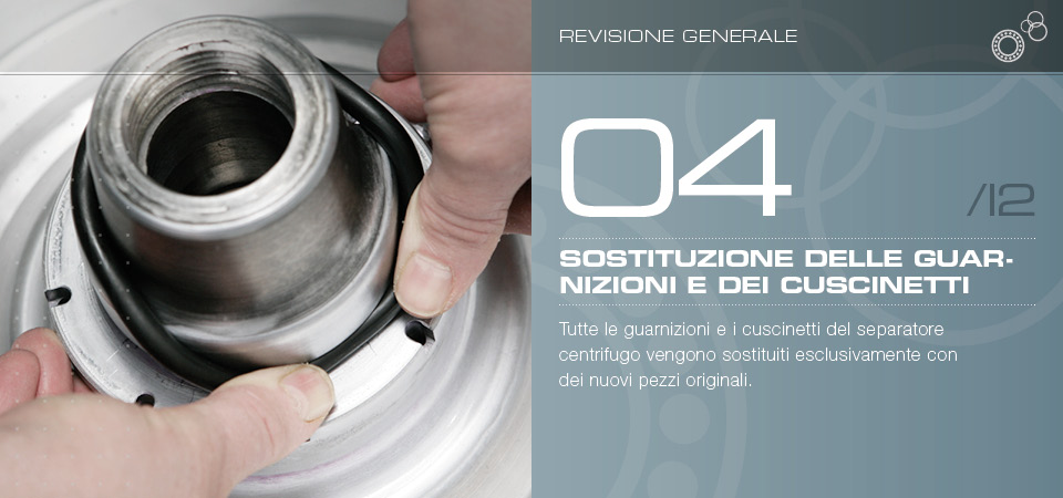 Sostituzione delle guarnizioni e dei cuscinetti